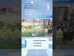 2L produits de nettoyage shengdailisha